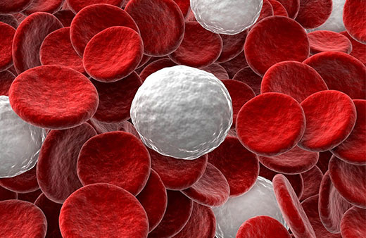 Full Blood Count (FBC) Home Test Kit UK