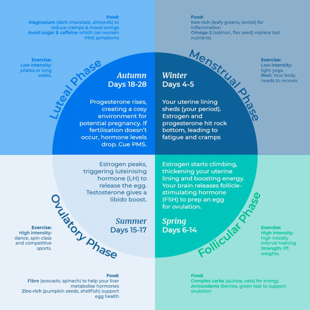 The 4 Seasons of Your Cycle: A Guide to Female Hormonal Health menstrualcycle.png